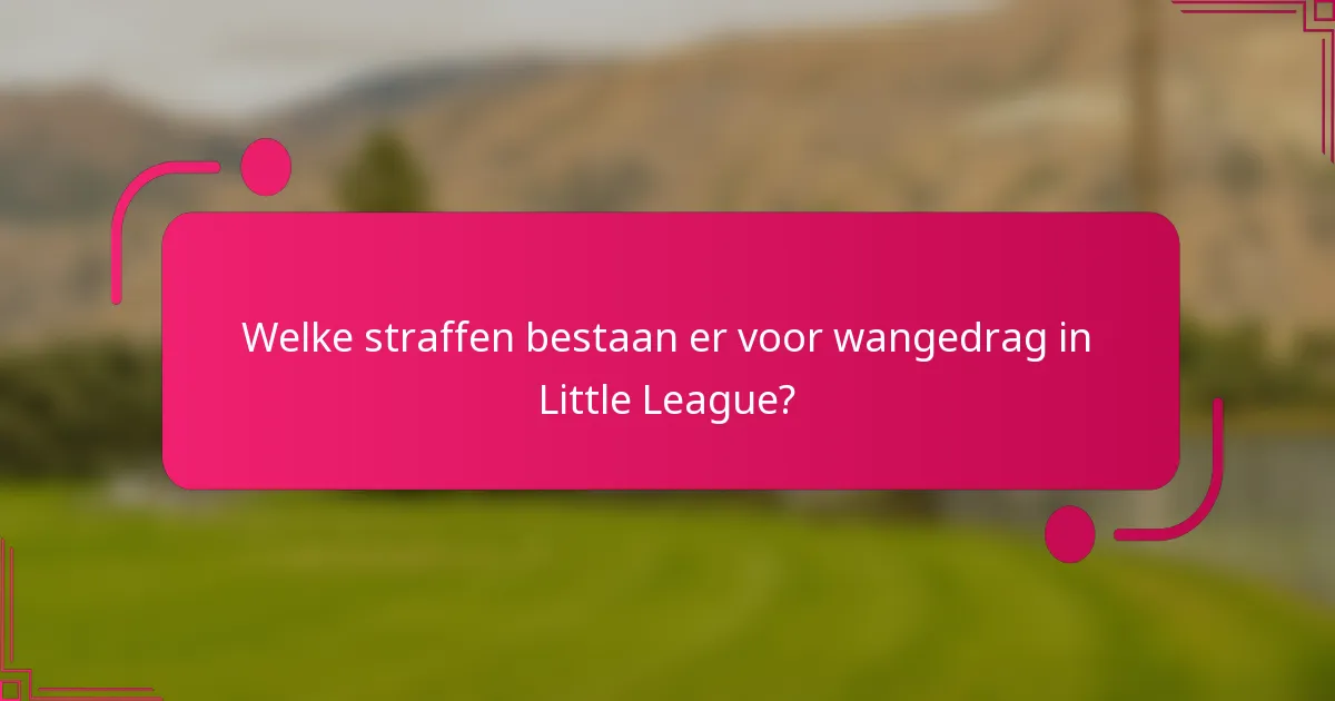 Welke straffen bestaan er voor wangedrag in Little League?